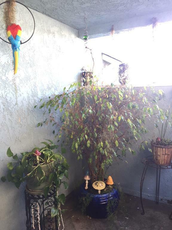 Pacific Beach Butterfly Suite 圣地亚哥 外观 照片
