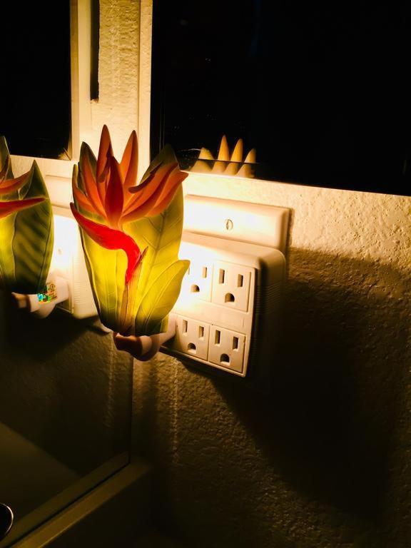 Pacific Beach Butterfly Suite 圣地亚哥 外观 照片